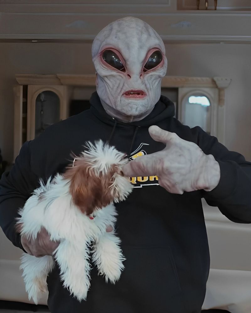 Alien Area 51 realistic mask paired with a hoodie, gently interacting with a fluffy puppy — The Terror Lab.