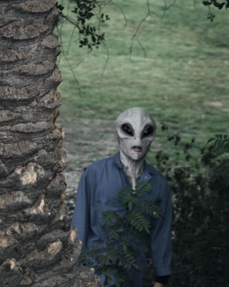 Alien Area 51 mask spotted in eerie outdoor encounter near palm tree – The Terror Lab.