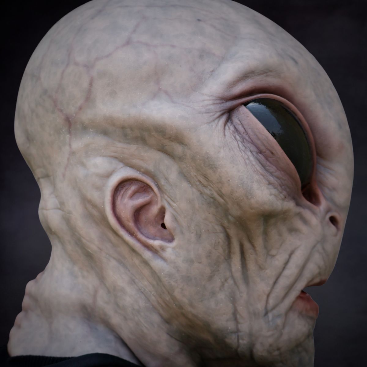 Close-up of an alien creature mask with a large eye on a dark background