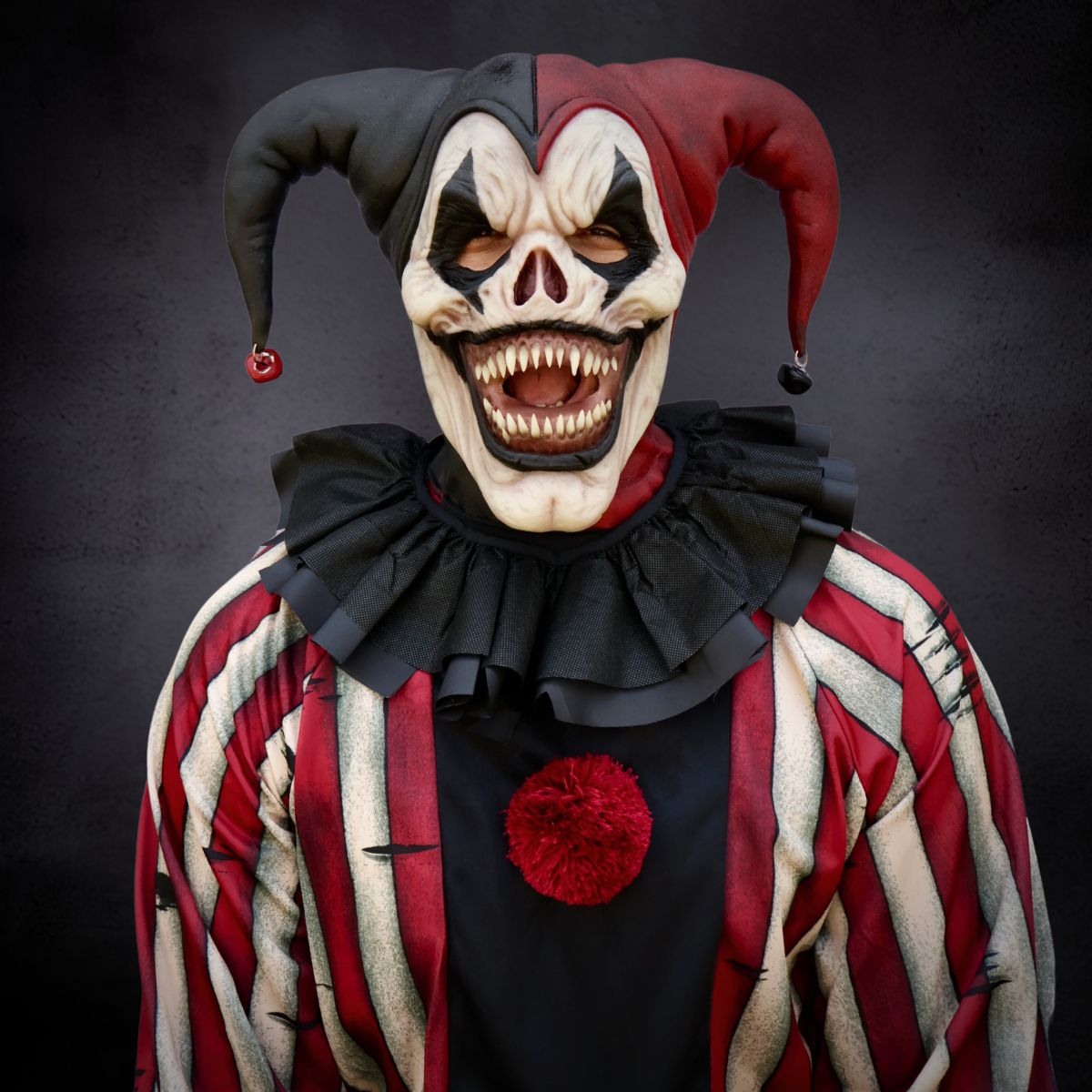 Jester Clown with a red and black hat and costume on a dark background