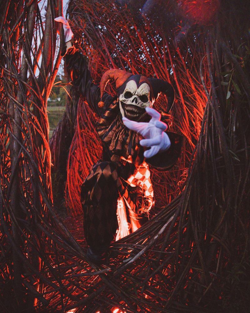 Jester clown mask with twisted smile and checkered costume, creeping through a glowing tunnel of twisted branches under red lighting — The Terror Lab.