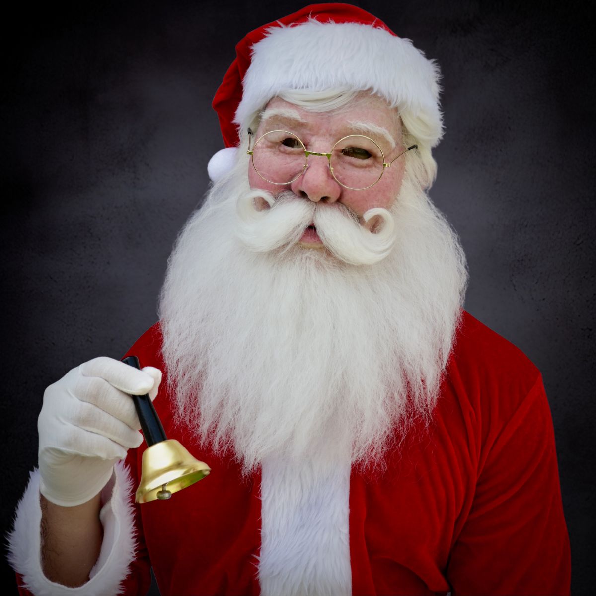 Santa Claus Realistic Mask