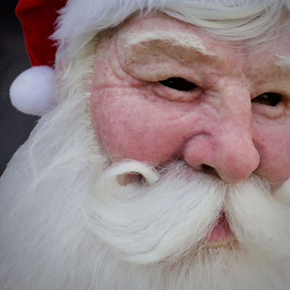 Santa Claus Realistic Mask