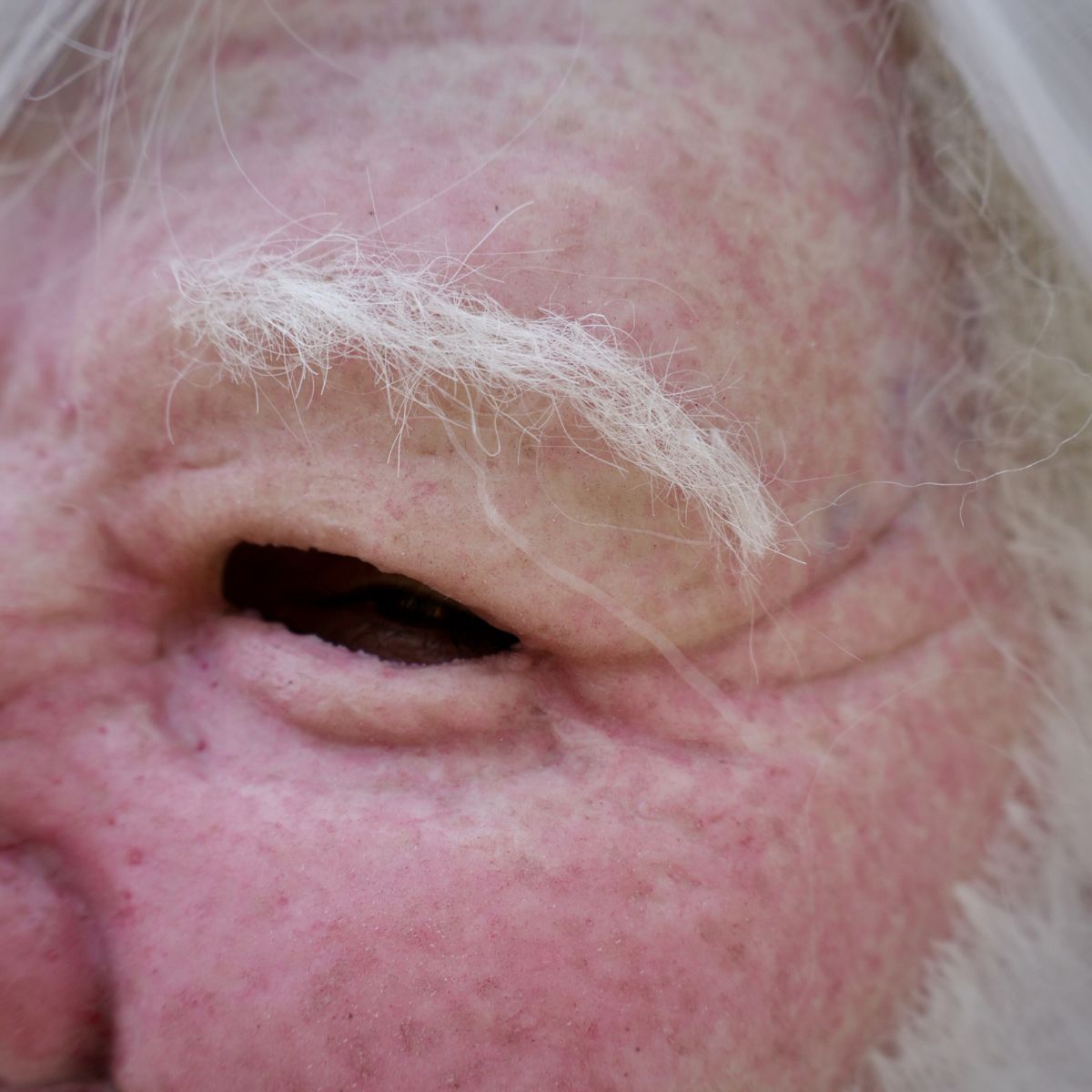 Santa Claus Realistic Mask