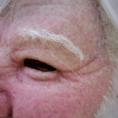 Santa Claus Realistic Mask