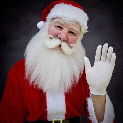 Santa Claus Realistic Mask